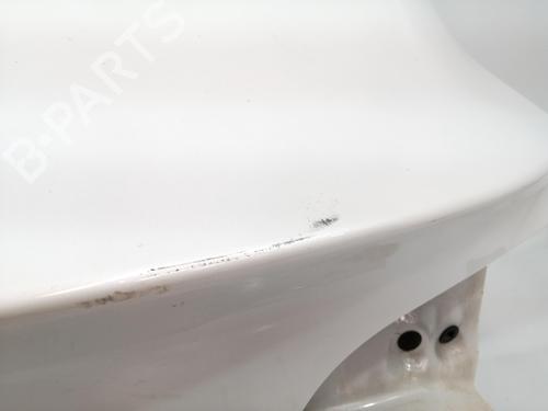 Tailgate TESLA MODEL 3 (5YJ3)  | BP29546972C6 