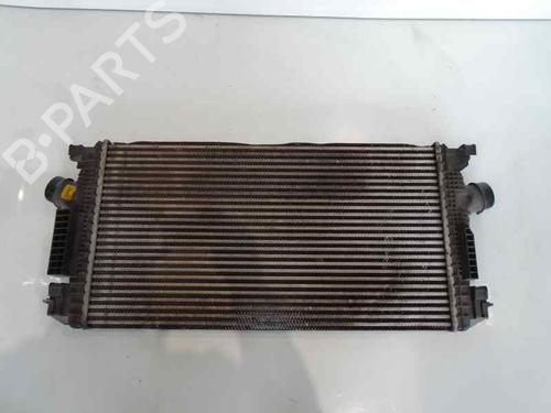 Used Intercooler CHEVROLET CRUZE (J300) 2.0 CDI (125 hp) 6714257