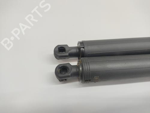 Tailgate lift support BMW X1 (F48) sDrive 18 d | BP22273654C138 
