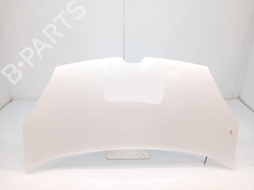 hood-renault-kangoo-express-fw01_-2008-32999503 main image