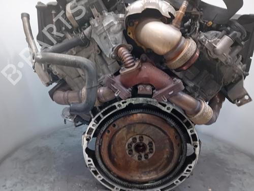 Engine MERCEDES-BENZ S-CLASS (W221, V221)  | BP29904206M1 