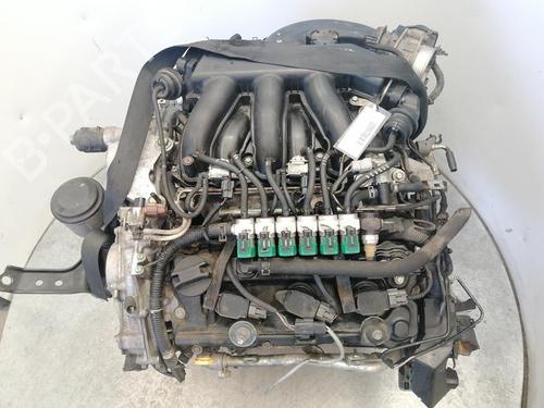 Motor für Motor NISSAN MURANO II (Z51) 3.5 4x4 (256 hp) 36641902 36641902