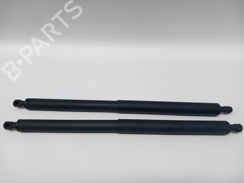 Used Tailgate lift support BMW X1 (F48) sDrive 18 d (150 hp) 19031557