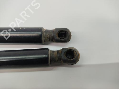 Tailgate lift support MERCEDES-BENZ V-CLASS (W447)  | BP29532009C138 