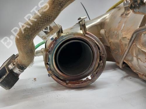 Catalyst RENAULT ARKANA I (LCM_, LDN_)  | BP29531860M10 