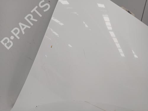 Right front fenders RENAULT SCÉNIC III (JZ0/1_)  | BP28042819C42 
