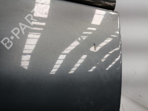 Left front door RENAULT SCÉNIC II (JM0/1_) 1.9 dCi (JM0G, JM12, JM1G, JM2C) | BP18297315C2 