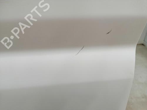Right tailgate FIAT DUCATO Van (250_)  | BP29531881C77 