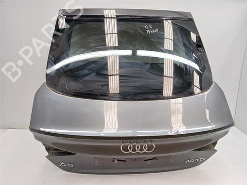 Used Tailgate Tailgate AUDI A5 Sportback (F5A, F5F) 40 TDI Mild Hybrid (204 hp) 29572773 29572773