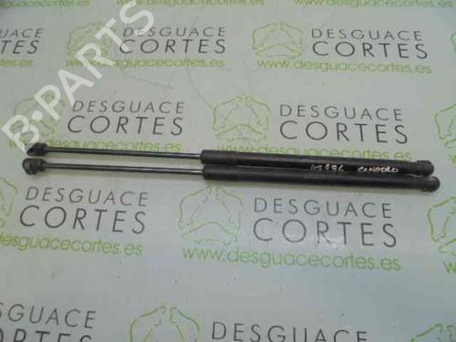 Used Tailgate lift support DACIA SANDERO [2008-2025]  14026573