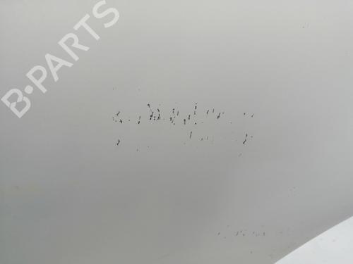 Left rear door NISSAN QASHQAI / QASHQAI +2 I (J10, NJ10, JJ10E)  | BP23861589C4 