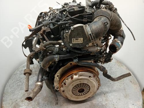 Engine SEAT LEON (1P1)  | BP28213142M1 