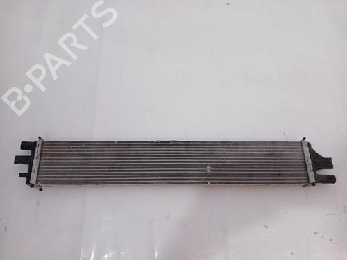 Water radiator RENAULT MASTER III Van (FV) | BP37182340M31 - Image 2