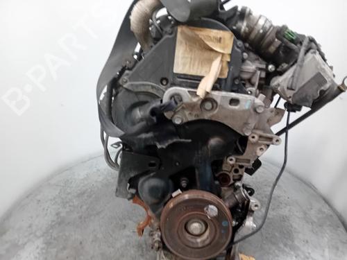 Engine FORD FIESTA VI (CB1, CCN) 1.6 TDCi | BP29904238M1 