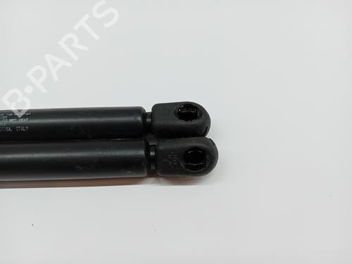 Hood lift support PEUGEOT 406 (8B) 2.0 HDI 90 | BP24167455C139 