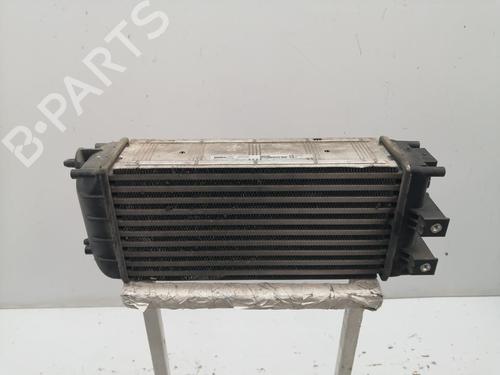 Intercooler CITROËN C4 Picasso I MPV (UD_) | BP30441128M30