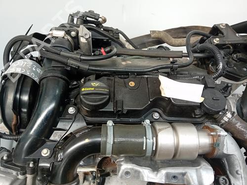 Used Engine FORD FOCUS III 1.6 TDCi (115 hp) 28209177