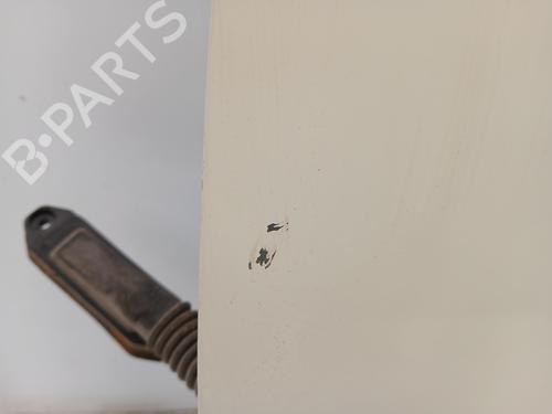 Left front door MINI MINI (R56)  | BP23460472C2 