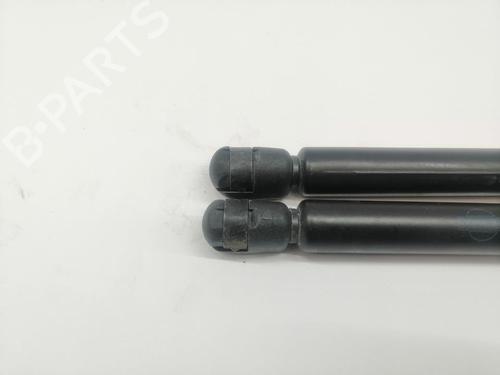 Tailgate lift support NISSAN MICRA III (K12)  | BP29430681C138 