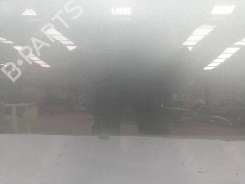 Left front door RENAULT MEGANE II (BM0/1_, CM0/1_) 1.5 dCi (BM02, BM13, BM2A, CM02, CM13) | BP30100128C2 