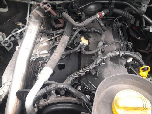 Catalyst RENAULT MASTER III Platform/Chassis (EV, HV, UV)  | BP20307336M10 