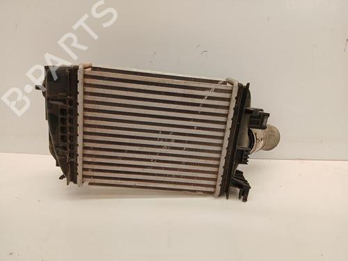 Intercooler radiateur Intercooler radiateur NISSAN JUKE (F16_) [2019-2026] 37594678 37594678