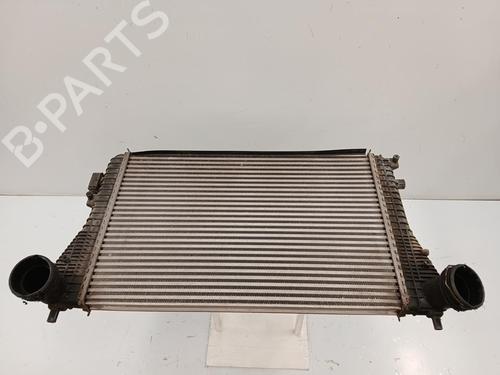 Intercooler SEAT ALTEA (5P1)  | BP29828070M30