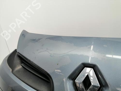 Front bumper RENAULT CLIO III (BR0/1, CR0/1)  | BP32491498C7 