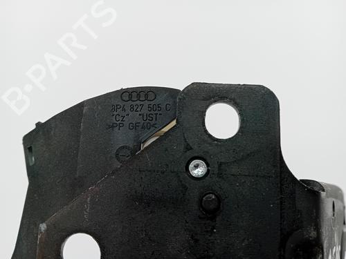 Tailgate lock AUDI A3 Sportback (8PA) 1.9 TDI | BP23102220C101 