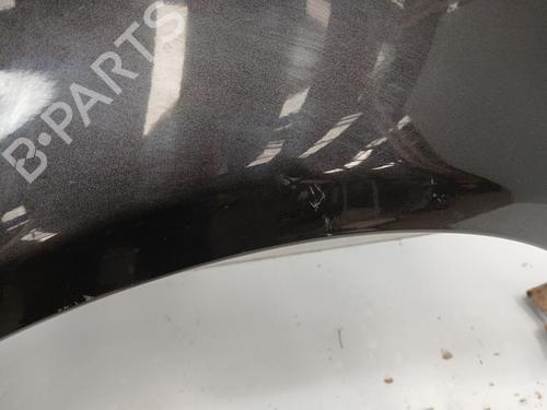 Left front fenders AUDI A3 (8P1) 1.9 TDI | BP29865498C41