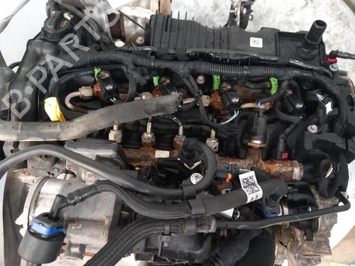 Used Engine FORD TRANSIT V363 Platform/Chassis (FED, FFD) [2013-2025]  30696115