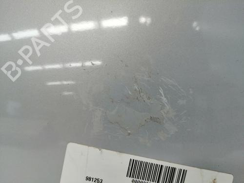 Fuel flap NISSAN QASHQAI / QASHQAI +2 I (J10, NJ10, JJ10E) 1.5 dCi | BP19055295C131 