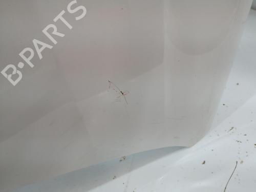 Hood RENAULT CAPTUR II (HF_)  | BP29358063C1 