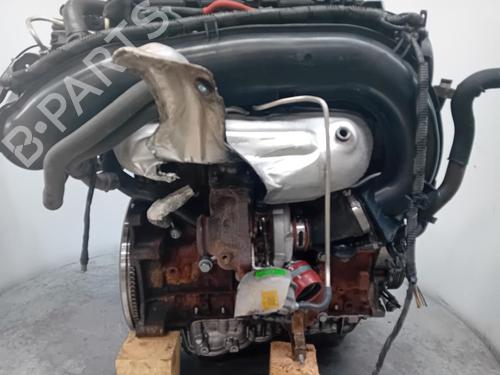 Engine FORD C-MAX II (DXA/CB7, DXA/CEU)  | BP29904216M1