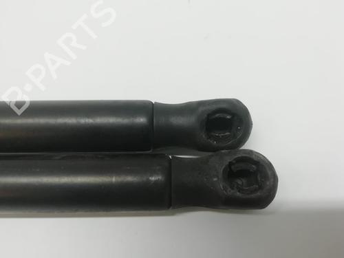 Tailgate lift support MERCEDES-BENZ CLC-CLASS (CL203) CLC 220 CDI (203.708) | BP16062092C138 