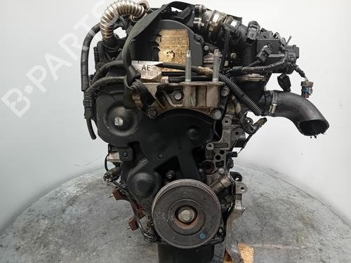 Motor FORD FOCUS II (DA_, HCP, DP)  | BP28210073M1 