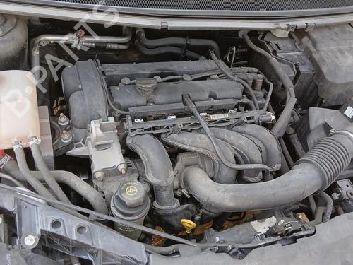 - Image 5