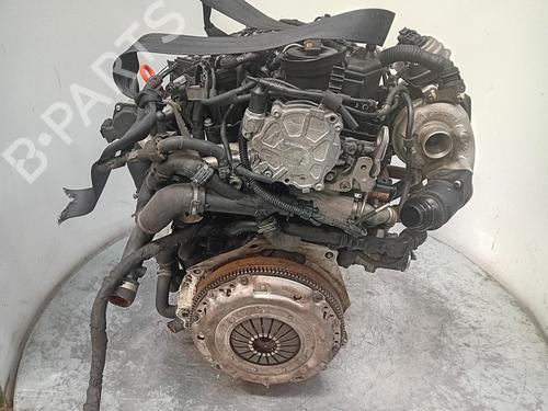 Engine SEAT LEON (1P1)  | BP34188689M1  - Image 7