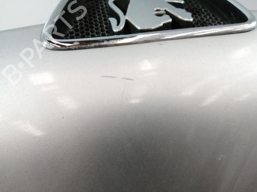 Hood PEUGEOT 306 Hatchback (7A, 7C, N3, N5) 2.0 HDI 90 | BP29246975C1 
