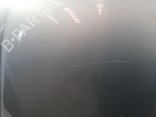 Hood PEUGEOT 206 Hatchback (2A/C) 2.0 HDI 90 | BP29589539C1 