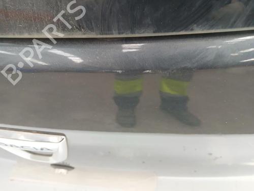 Tailgate DACIA SANDERO II  | BP29865456C6
