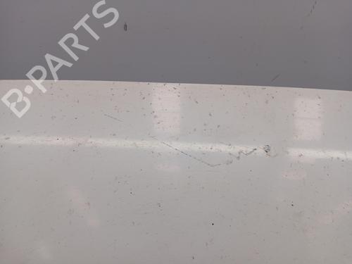 Hood FORD TRANSIT Van (FA_ _) 2.0 DI (FAE_, FAF_, FAG_) | BP25043534C1 