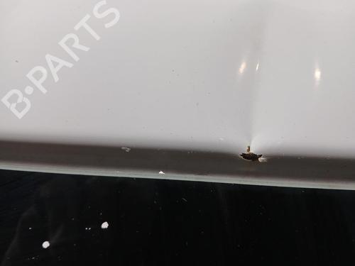 Right tailgate RENAULT TRAFIC II Bus (JL) 1.9 dCI 100 (JL0C, JL0K) | BP29267302C77 