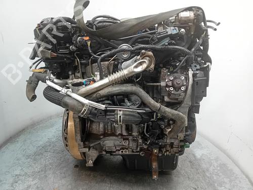 Engine FORD FOCUS III  | BP32667863M1  - Image 6