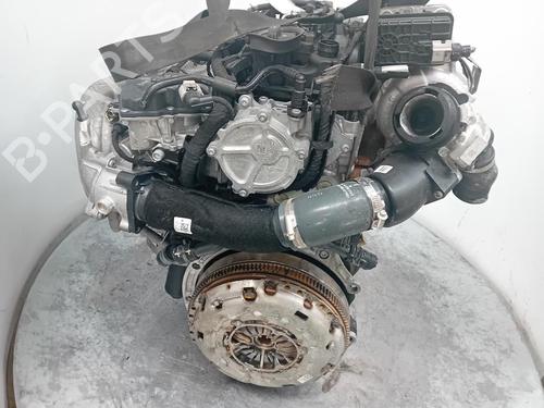 Engine SEAT TARRACO (KN2)  | BP34211123M1  - Image 5
