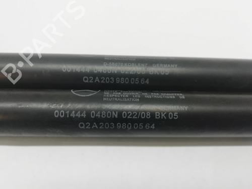 Tailgate lift support MERCEDES-BENZ CLC-CLASS (CL203) CLC 220 CDI (203.708) | BP16062092C138 