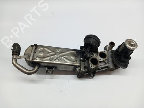 Used Egr VW POLO V (6R1, 6C1) [2009-2022]  23189814