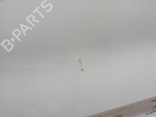 Right front door FIAT FIORINO Box Body/MPV (225_) 1.3 D Multijet (225BXD1A, 225BXB1A, 225BXB11) | BP29554574C3 