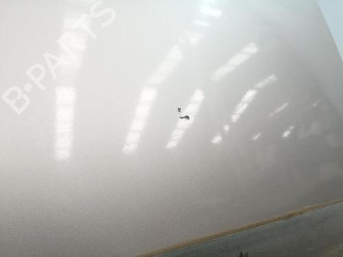 Right front door FORD TRANSIT CONNECT (P65_, P70_, P80_) 1.8 TDCi | BP29322028C3 