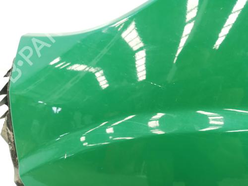 Left front fenders FIAT DUCATO Van (250_)  | BP29257024C41 